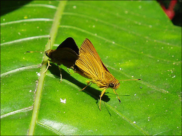 P7310069