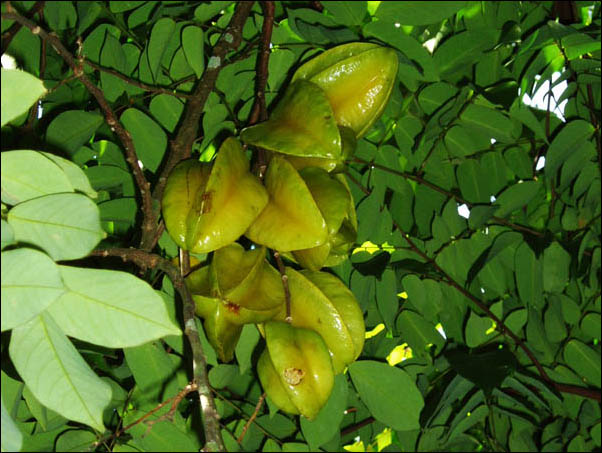 P7310070