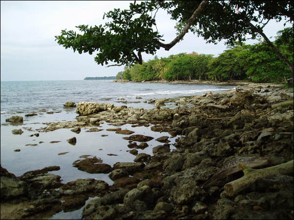 P7310089