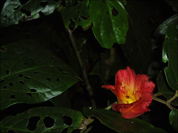 P8010118