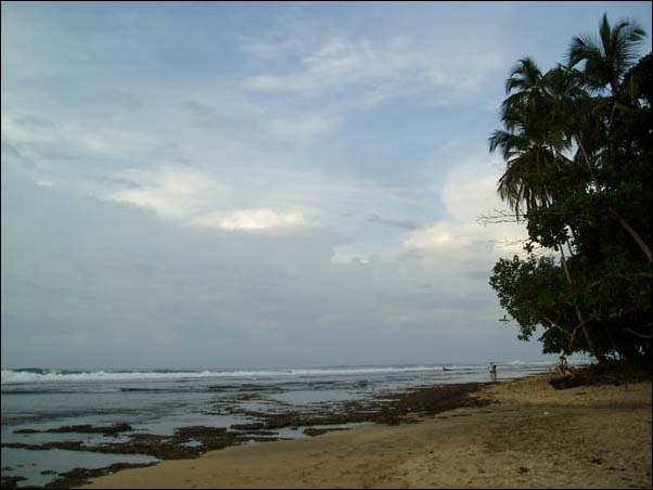 P8030156