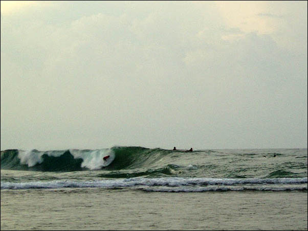 P8030157
