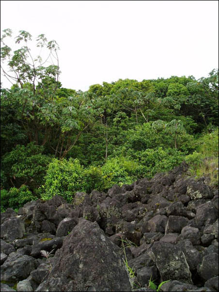 P7230115