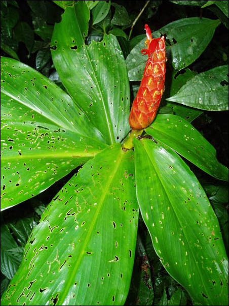 P7270021