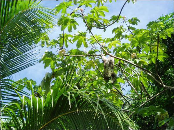 P7280033