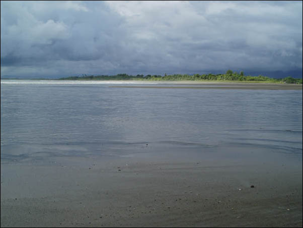 P7290049